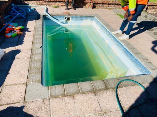 WhatsApp Image 2026-04-01 at 15.24.20