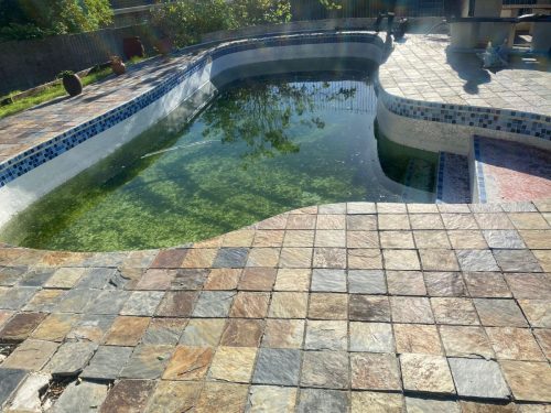 WhatsApp Image 2026-04-01 at 15.24.22